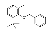 1-tert-butyl-3-methyl-2-phenylmethoxybenzene Structure