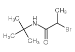 2-溴-N-(叔丁基)丙胺结构式