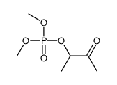 dimethyl 3-oxobutan-2-yl phosphate Structure