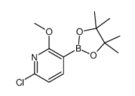 6-氯-2-甲氧基-3-(4,4,5,5-四甲基-1,3,2-二噁硼烷-2-基)-吡啶图片