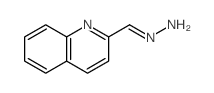2-Quinolinecarboxaldehyde,hydrazone结构式
