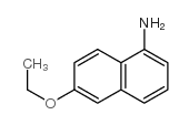 6-ETHOXY-1-NAPHTHALENAMINE结构式
