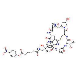 4-Nitrophenyl 6-({2-hydroxy-3-[18-hydroxy-34-(1-hydroxyethyl)-23,31-dimethyl-15,21,24,26,29,32,35-heptaoxo-12-thia-10,16,22,25,27,30,33,36-octaazapentacyclo[12.11.11.03,11.04,9.016,20]hexatriaconta-3(11),4,6,8-tetraen-28-yl]-2-methylpropyl}amino)-6-oxohexanoate Structure