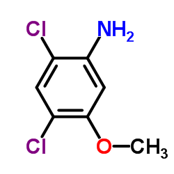 5-Amino-2,4-dichloroanisole Structure