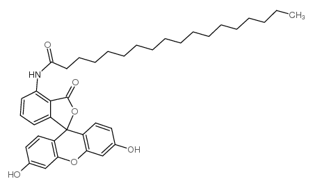 5-(十八碳酰氨基)荧光素结构式