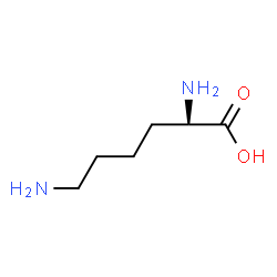 hydrolysin structure