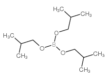 Boric acid,tris(2-methylpropyl) ester picture