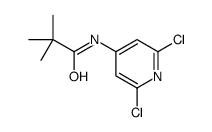 N-(2,6-dichloropyridin-4-yl)-2,2-dimethylpropanamide Structure