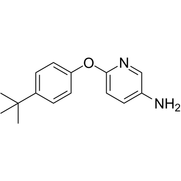 6-[4-(叔丁基)苯氧基]吡啶-3-胺结构式