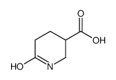 6-氧代哌啶-3-羧酸结构式