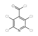 2,3,5,6-tetrachloropyridine-4-carbonyl chloride Structure