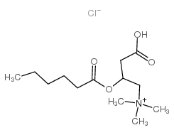 (±)-Hexanoylcarnitine chloride Structure