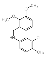 3-chloro-N-[(2,3-dimethoxyphenyl)methyl]-4-methyl-aniline Structure