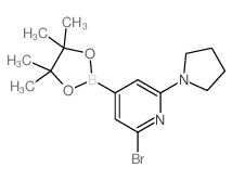 2-溴-6-(吡咯烷-1-基)吡啶-4-硼酸频哪醇酯结构式