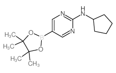 2-(环戊基氨基)嘧啶-5-硼酸频那醇酯结构式