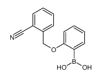 2-(2-氰基苄氧基)-苯硼酸结构式