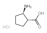 (1R,2R)-2-Aminocyclopetanecarboxylic acid hydrochloride Structure
