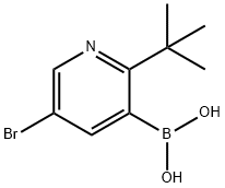 5-Bromo-2-(tert-butyl)pyridine-3-boronic acid Structure