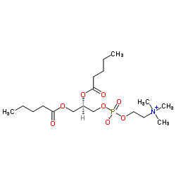 1,2-二戊酰基-sn-甘油-3-磷酸胆碱结构式