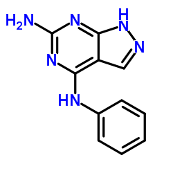 N4-Phenyl-1H-pyrazolo[3,4-d]pyrimidine-4,6-diamine结构式