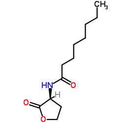 N-Octanoyl-L-homoserine lactone结构式