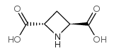 反式吖丁啶-2,4-二羧酸结构式
