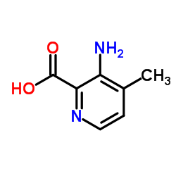 3-氨基-4-甲基吡啶甲酸结构式