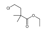 ethyl 4-chloro-2,2-dimethylbutanoate Structure