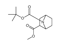 7-叔丁基2-甲基7-氮杂双环[2.2.1]庚烷-2,7-二羧酸结构式