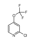 2-chloro-4-(trifluoromethoxy)pyridine picture