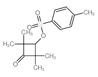 2,2,4,4-tetramethyl-3-(4-methylphenyl)sulfonyloxy-cyclobutan-1-one结构式