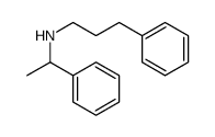3-phenyl-N-(1-phenylethyl)propan-1-amine结构式