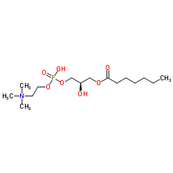 1-庚酰基-2-羟基-sn-甘油-3-磷酸胆碱结构式