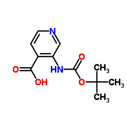 3-[(tert-Butoxycarbonyl)amino]isonicotinic acid Structure