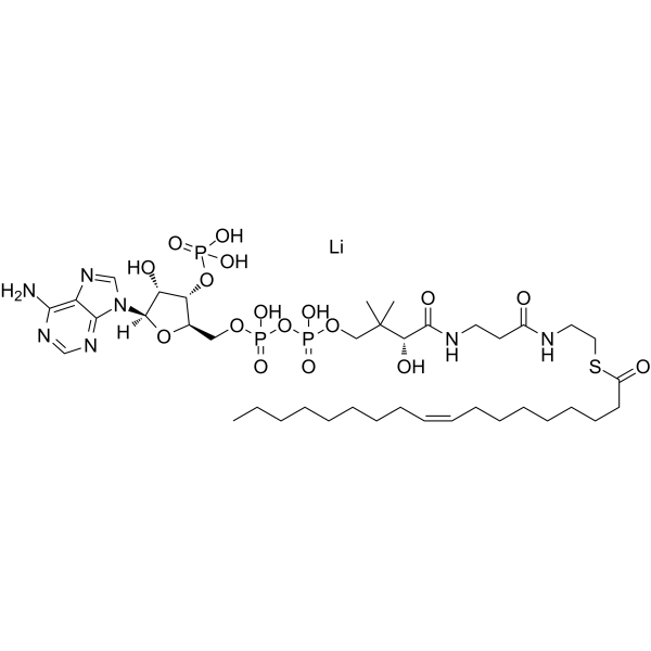 Oleoyl coenzyme A lithium salt Structure