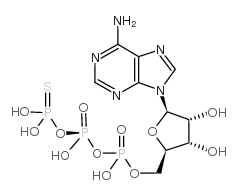 ADENOSINE-5'-O-(1-THIOTRIPHOSPHATE), SP-ISOMER SODIUM SALT结构式