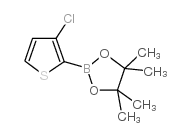 3-Chlorothiophene-2-boronic acid pinacol ester picture