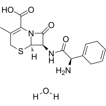 Cephradine (monohydrate) Structure