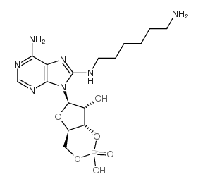 8-(6-氨基己基)氨基腺苷3'：5'-环一磷酸结构式