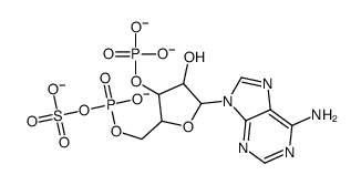 6-amino-9-[3-hydroxy-5-[(hydroxy-sulfooxy-phosphoryl)oxymethyl]-4-phosphonooxy-oxolan-2-yl]-purine picture