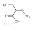 Butanoic acid,2-(aminooxy)-, hydrochloride (1:1) structure