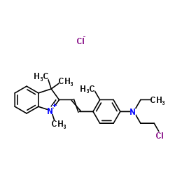 3H-Indolium, 2-(2-(4-((2-chloroethyl)ethylamino)-2-methylphenyl)ethenyl)-1,3,3-trimethyl-, chloride (1:1) picture
