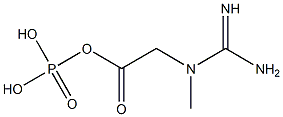 磷酸肌酸杂质1结构式