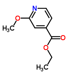 2-甲氧基异烟酸乙酯结构式