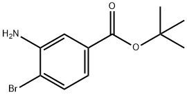 tert-butyl 3-amino-4-bromobenzoate Structure