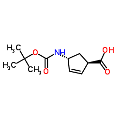 (1R,4R)-4-((Tert-butoxycarbonyl)amino)cyclopent-2-enecarboxylic acid Structure