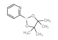 2-(4,4,5,5-TETRAMETHYL-1,3,2-DIOXABOROLAN-2-YL)PYRIDINE structure