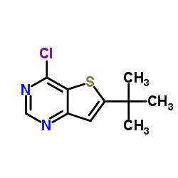 6-tert-butyl-4-chlorothieno[3,2-d]pyrimidine Structure