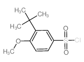 3-叔丁基-4-甲氧基-苯磺酰氯图片