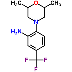 2-(2,6-Dimethyl-4-morpholinyl)-5-(trifluoromethyl)aniline Structure